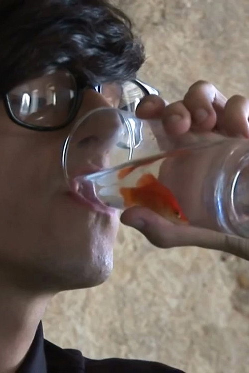 Movie poster for The State That I Am Fish (2011)