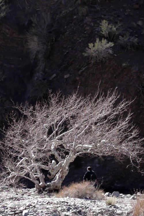 Movie poster for Paradise Springs (2013)