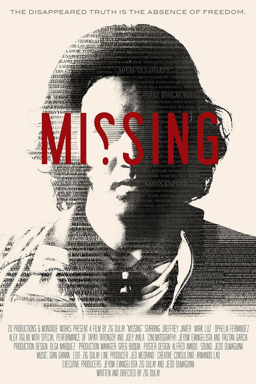 Movie poster for Missing (2013)