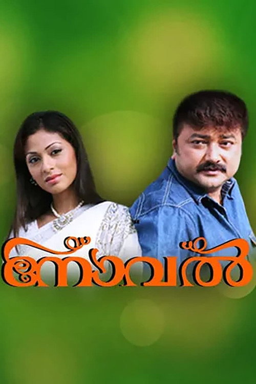 Movie poster for Novel (2008)