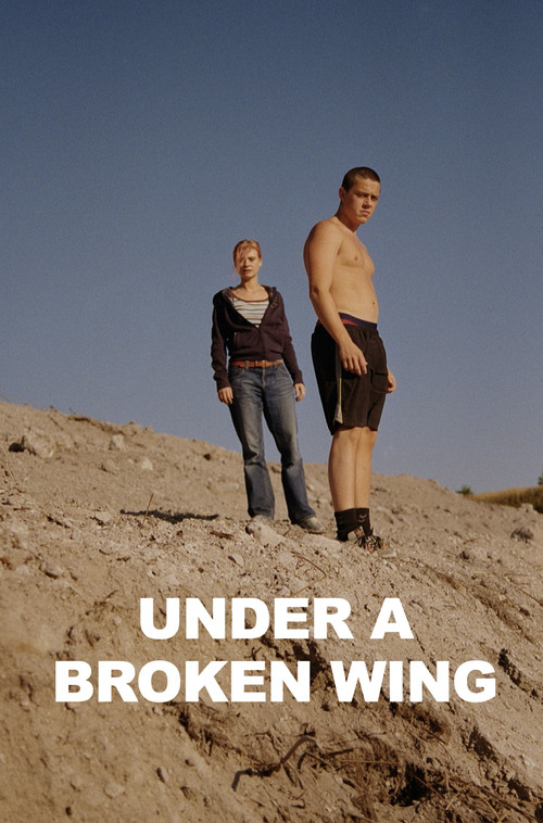 Movie poster for Under a Broken Wing (2025)