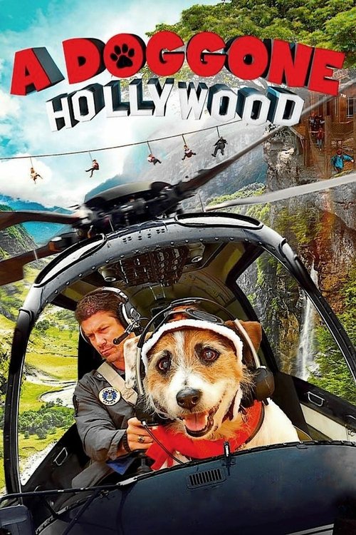 Movie poster for A Doggone Hollywood (2017)