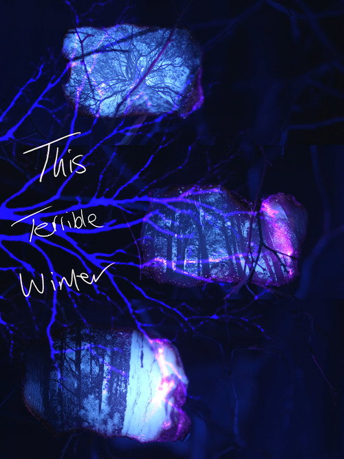Movie poster for This Terrible Winter (2025)