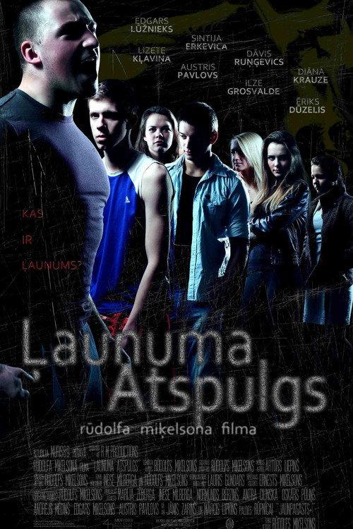 Movie poster for The Reverberation of Evil (2014)