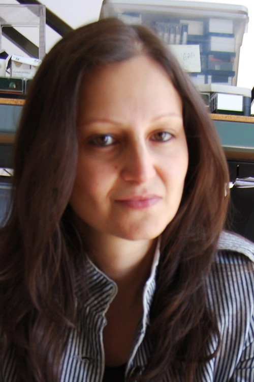 Photo of Rolla Selbak, Writing