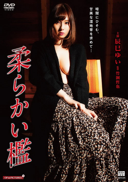 Movie poster for Gishin rankô: Yamiyo ni ugomeku mesu shiri (2017)