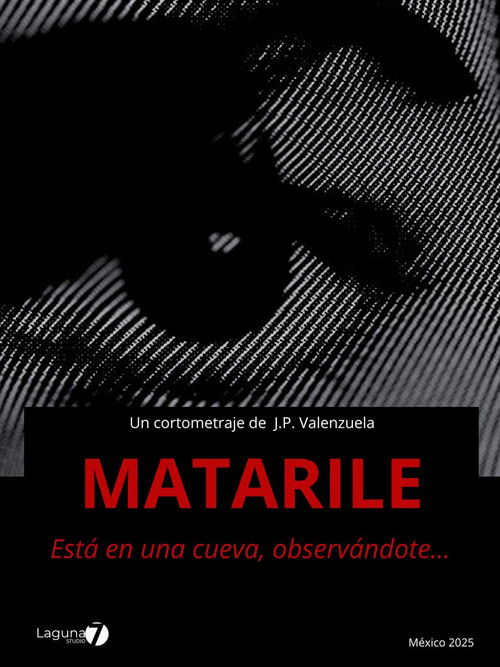 Movie poster for Matarile (2025)