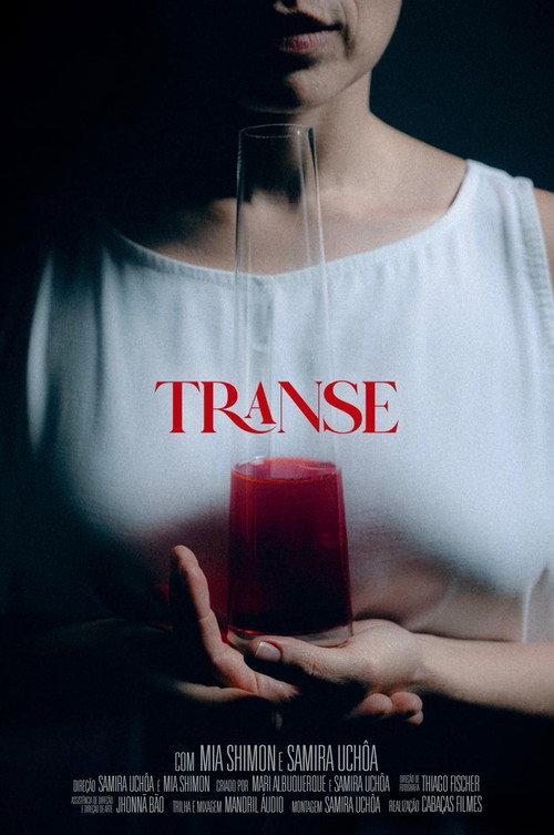 Movie poster for Transe