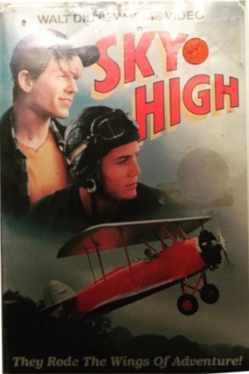 Movie poster for Sky High (1990)