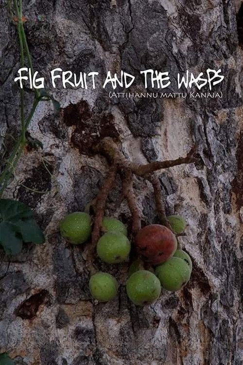 Movie poster for Fig Fruit and The Wasps (2014)