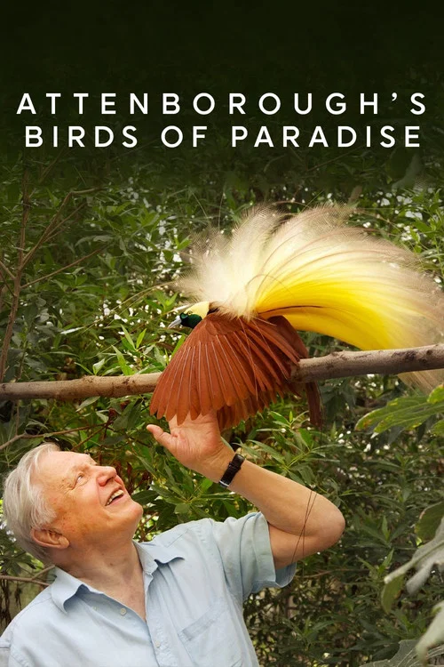 Movie poster for Birds of Paradise (2010)