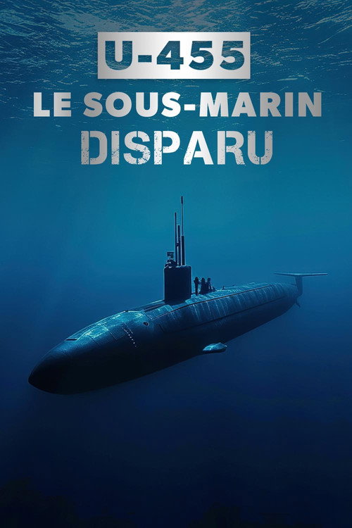 Movie poster for U-455, le sous-marin disparu (2013)
