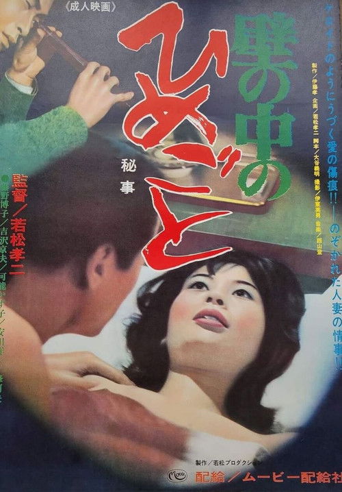 Movie poster for Secrets Behind the Wall (1965)