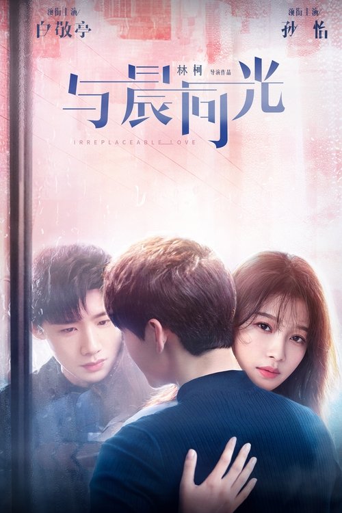 Irreplaceable Love poster