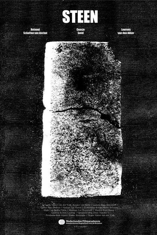 Movie poster for Brick (2013)