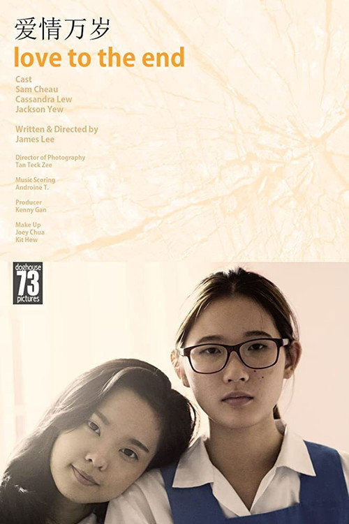 Movie poster for Love to the End (2017)