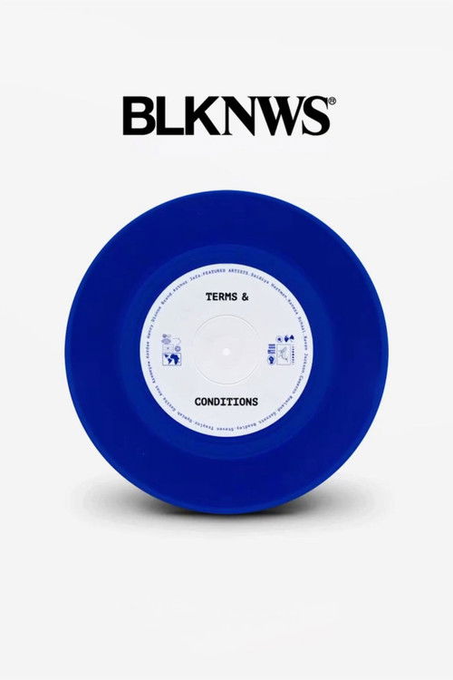 Movie poster for BLKNWS: Terms & Conditions (2025)