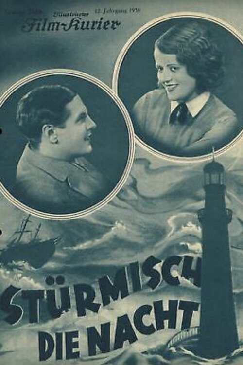 Movie poster for Stormy Night (1931)