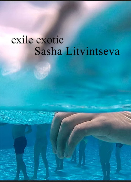Movie poster for Exile Exotic (2016)