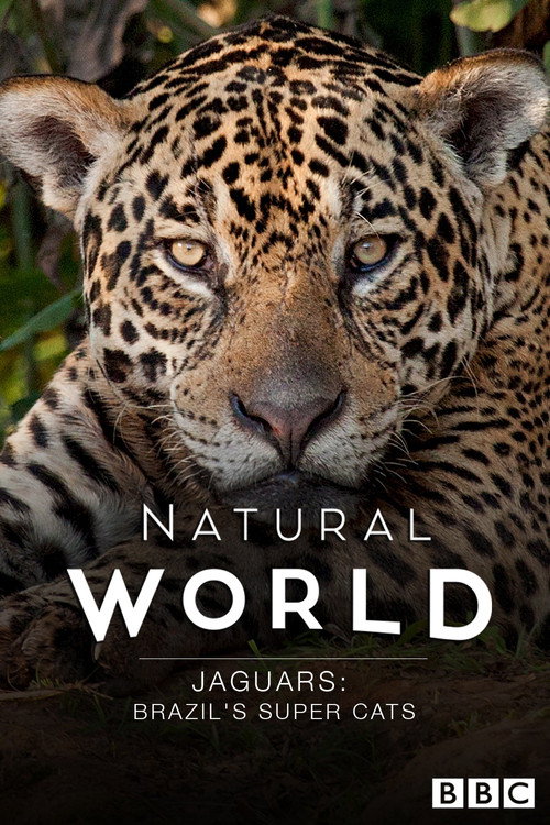 Movie poster for Jaguars: Brazil's Super Cats (2016)