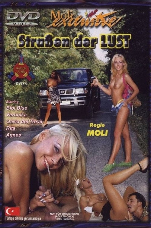 Movie poster for Straßen der Lust (2001)