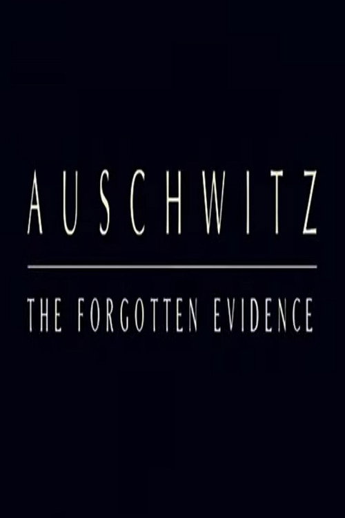 Movie poster for Auschwitz: The Forgotten Evidence (2004)