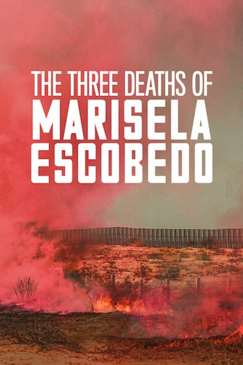 Movie poster for The Three Deaths of Marisela Escobedo (2020)