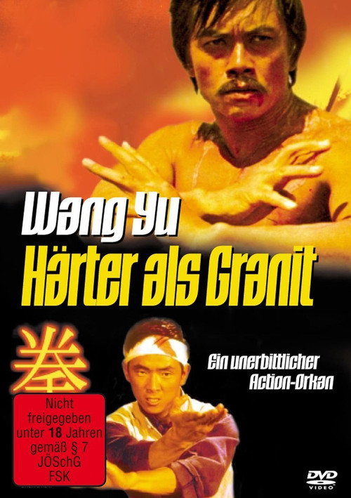 Movie poster for The Two Cavaliers (1973)