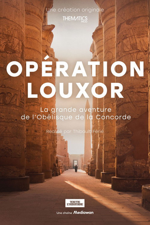 Movie poster for Opération Louxor (2024)