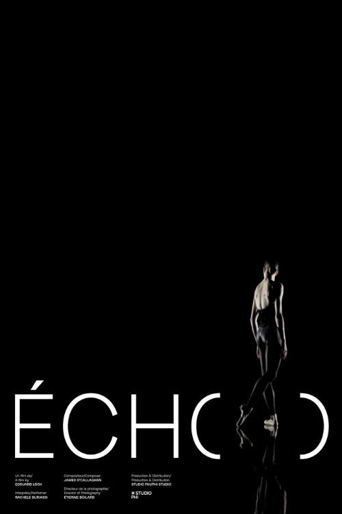Movie poster for Écho
