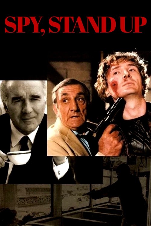 Spy, Stand Up poster
