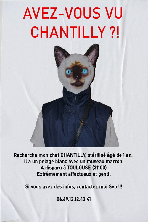 Movie poster for AVEZ-VOUS VU CHANTILLY ?! (2023)