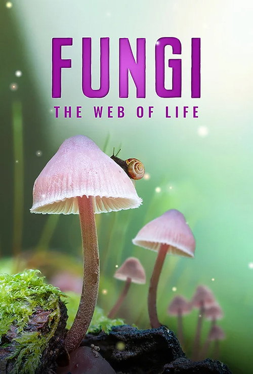 Movie poster for Fungi: The Web of Life (2023)