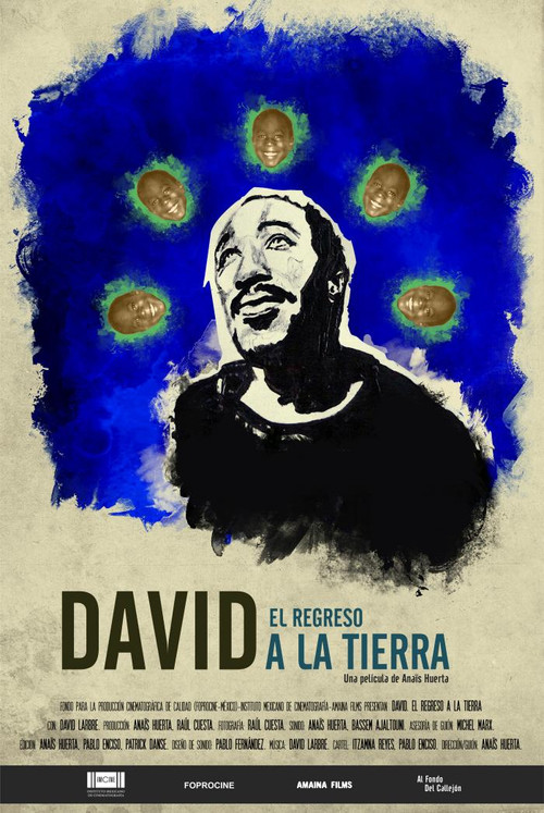 Movie poster for David. The Return to Land (2017)