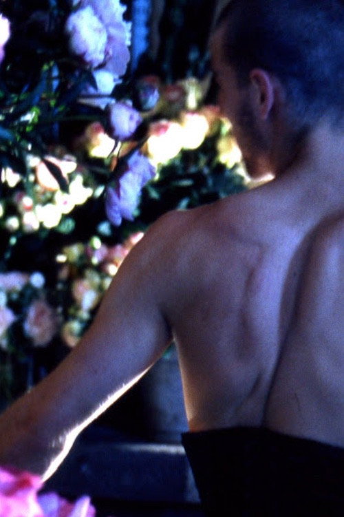 Movie poster for Quelques fleurs pour un chant d'amour (2006)