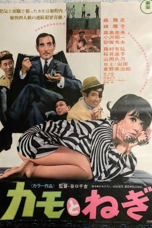 Movie poster for Wild Ducks and Green Onions (1968)