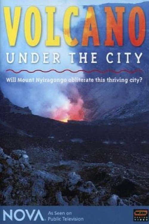 Movie poster for Nova: Volcano Under the City (2006)