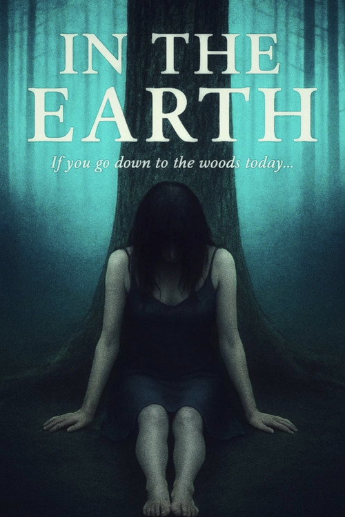 Movie poster for In The Earth