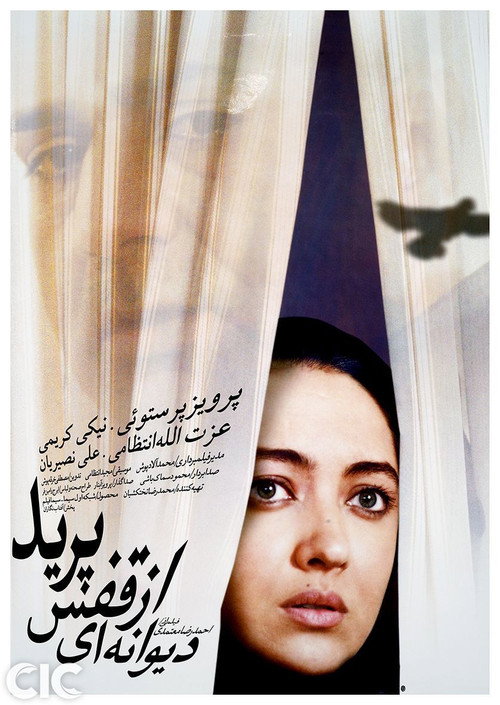 Movie poster for The Insane Flew Away (2003)