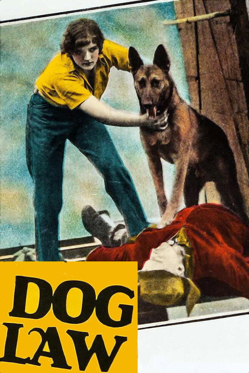 Movie poster for Dog Law (1928)