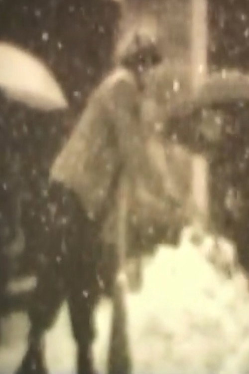 Movie poster for Winter 1994 (1994)