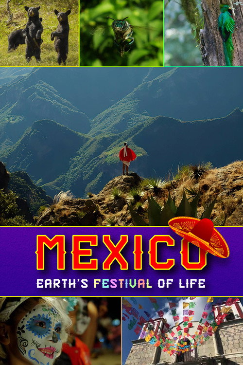 Series poster for Mexico: Earth's Festival of Life (2017)