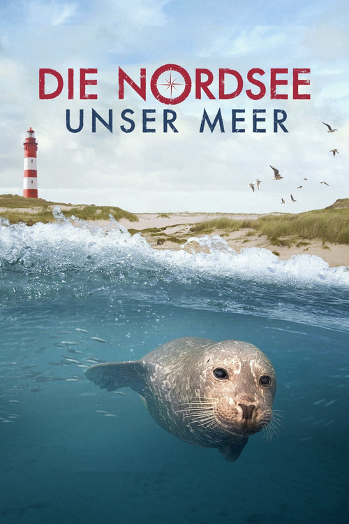 Movie poster for Secrets of the North Sea (2013)