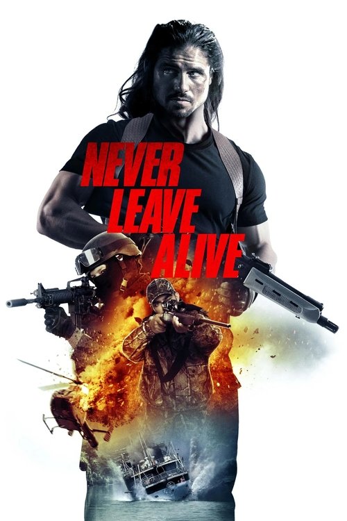 Movie poster for Never Leave Alive (2017)