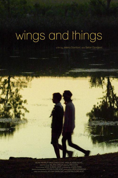 Movie poster for Wings and Things (2018)