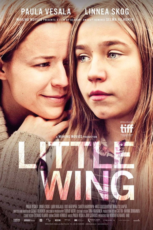 Movie poster for Little Wing (2016)