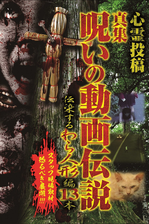 Movie poster for Shinshu, A Curse Video Legend: 13 Infectious Straw Dolls (2020)
