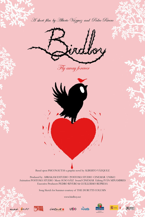 Movie poster for Birdboy (2011)