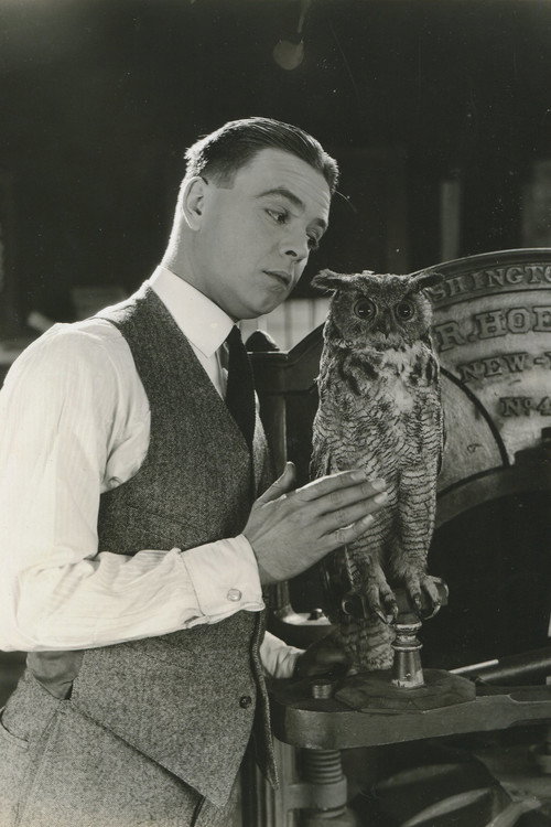 Movie poster for The Jailbird (1920)