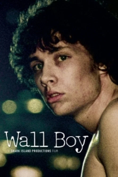 Movie poster for Wall Boy (2009)